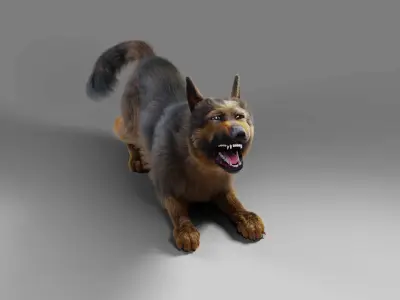 Fur German Shepherd Rigged   Low-poly 3D model