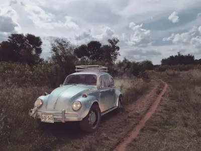 Volkswagen Beetle - Made in Blender  3D model