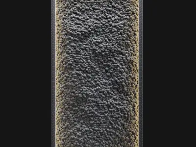 Phytowall with stabilized moss 3D model