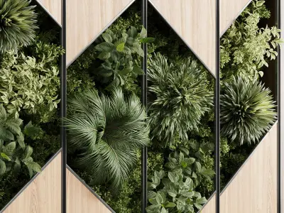 plants set partition in wooden frame - Vertical graden Low-poly 3D model