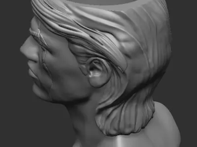 Head of brutal male with scar 3D print model