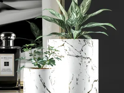 Decorative Set with Plants 3D model