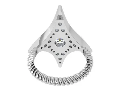 Star Ring 3730 3D print model