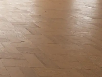  Parquet Oak Cornell Firestop set 5 3D model