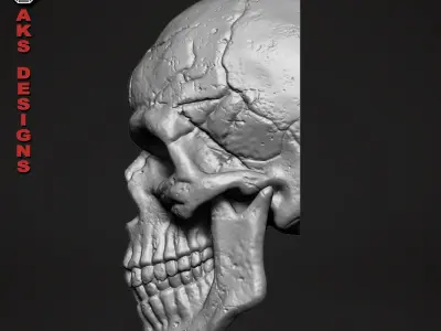 Skull version 1 Bas relief for cnc 3D print model