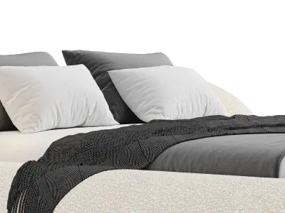 TRANSPARENCY MATTERS Collection Low-poly 3D model