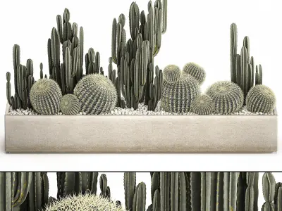 Cactus set in a concrete flowerpot for the interior 1097 3D model
