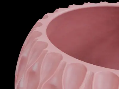Sequence Vase 3D print model