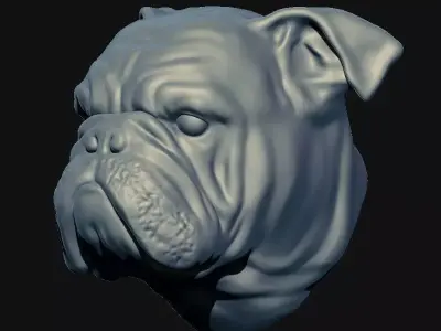 3D English Bulldog head 3D model