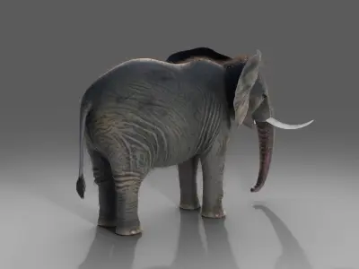 Fur Elephant NO Rigged in Blender  Zbrush Low-poly 3D model