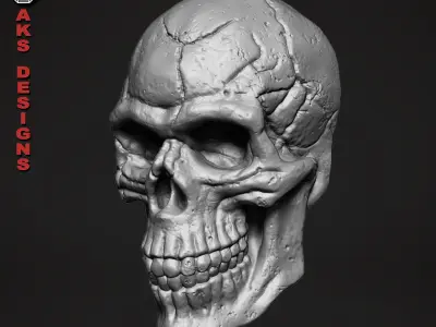 Skull version 1 Bas relief for cnc 3D print model