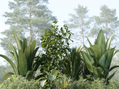 Garden of Plants shrubs palm - outdoor garden set 167 Low-poly 3D model