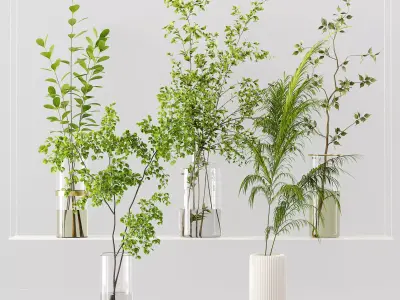 Collection Indoor Plants 028 3D model