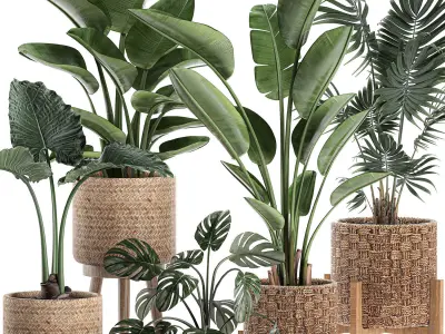 Decorative plants in a basket 574 3D model