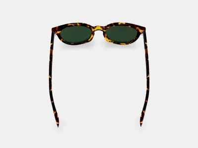 Taye Sunglasses in Black Oak Tortoise 3D model