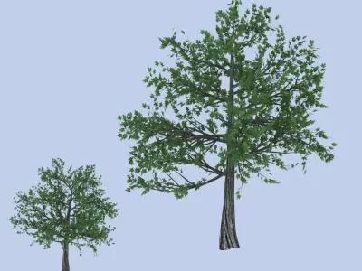 Maple tree Free low-poly 3D model