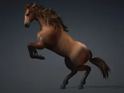Horse-G1 3D model