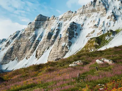 Alpine Lake Environment - Unity 2017-18-19 Projects Low-poly 3D model