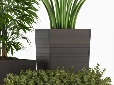 plants set 136 3D model