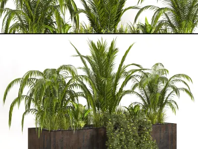 Collaction Indoor plant vol 40 3D model