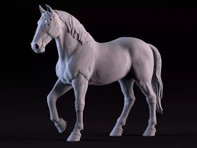 Horse 3D print model 9