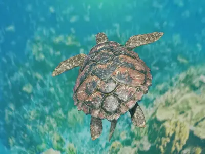 Sea Turtle Animated Low-poly 3D model