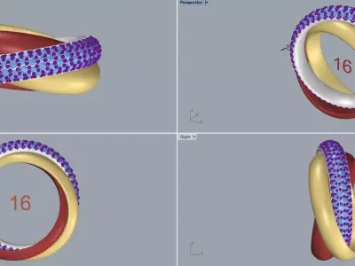 Trinity Ring Large Model Semi Paved 3D print model