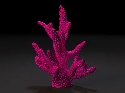 Coral Voronoi 3D print model