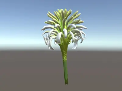 Elegant Flower Bloom Sculpture model pack Low-poly 3D model