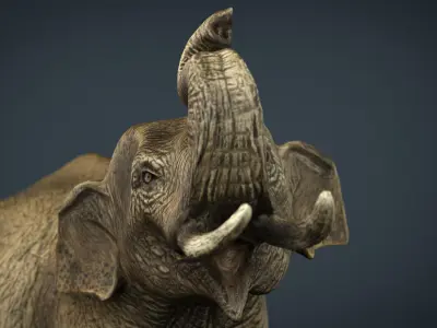 Asian Elephant Low-poly 3D model