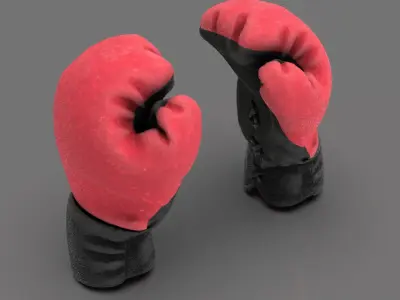 BOXING EQUIPMENT 3D model