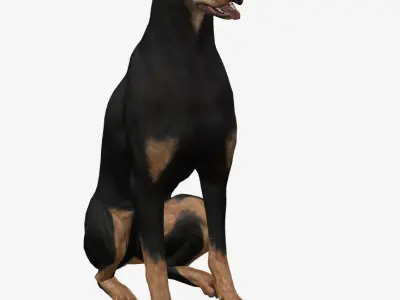 Dog Doberman Low-poly 3D model