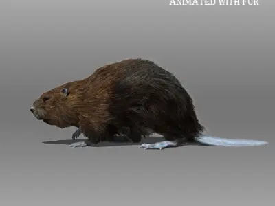 Beaver Animated with Fur 3D model