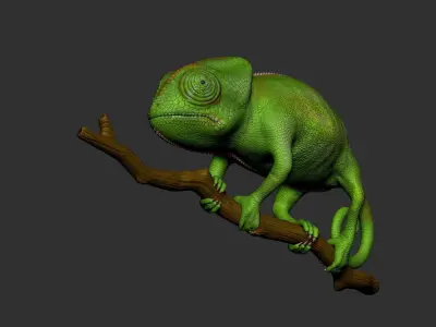 Veiled Chameleon - Hi-polygon 3D model