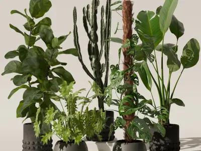 Plants collection 133 3D model