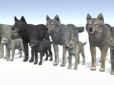 WOLF FAMILY Low-poly 3D model