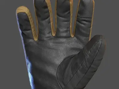  The North Face Mens Montana Glove Low-poly 3D model