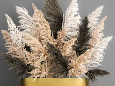 Decorative Bouquet of dried pampas grass 189 3D model