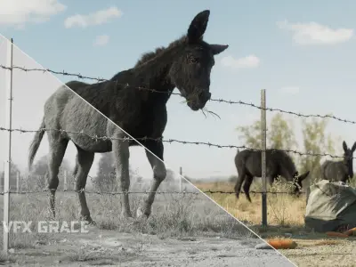 Donkey winter Animation VFX Grace 3D model