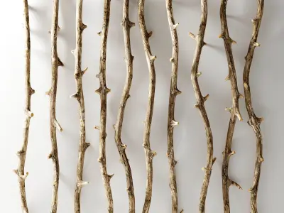 Branch decor old tree Two n2  3D model