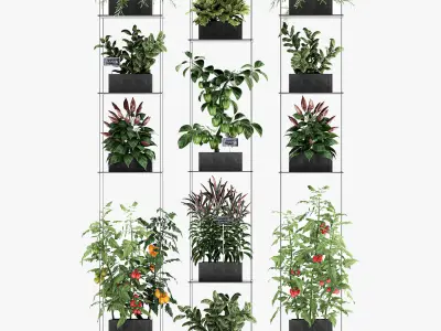Vertical garden for the kitchen 72 3D model