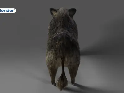 Fur Wild Boar Rigged in Blender Low-poly 3D model