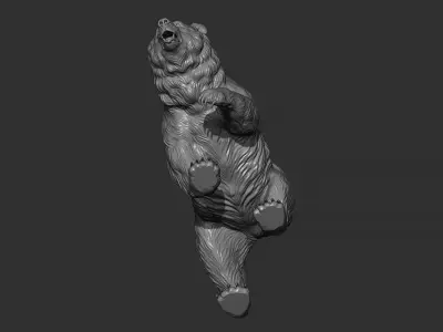 Bear walking 3D print model