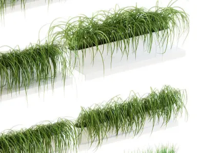 Grass on the shelves of 13 models 3D model