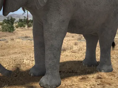 African Elephant Rigged for 3dsmax 3D model