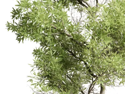 outdoor indoor 85 pot plant tree  bush fern the garden pot 3D model