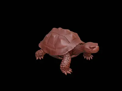 Turtle Animal Sculpture 3D print model