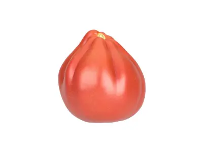 Photorealistic Oxheart Tomato 3D Scan 3D model