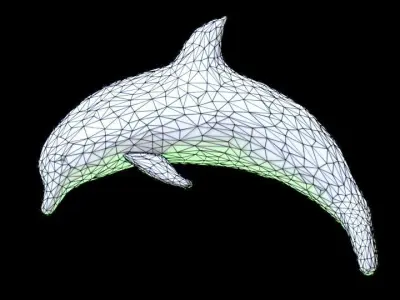 Dolphin Jumping 3D model