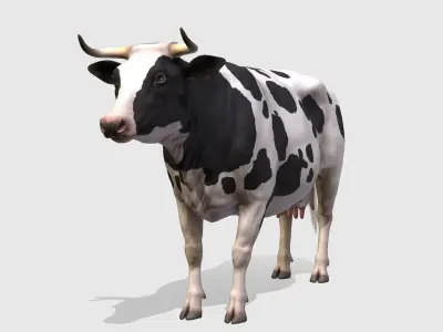 COW realistic Low-poly 3D model